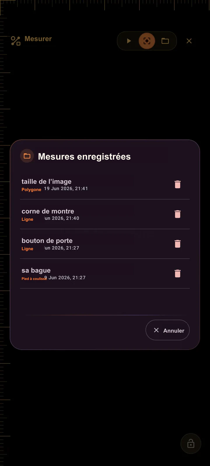 Liste des mesures enregistrées dans SIMT Measure, avec des entrées nommées, leur type — Caliper, Line ou Polygon — et leur date d’enregistrement
